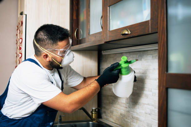 Best Residential Pest Control  in Everett, WA