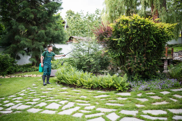 Wildlife Control Services in Everett, WA