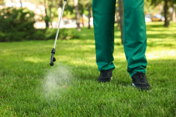 Best Pest Inspection Near Me  in Everett, WA